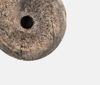 Bone spindle whorl