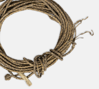 Lasso. Veli katelte nyur