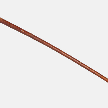 Leo Tolstoy’s walking stick