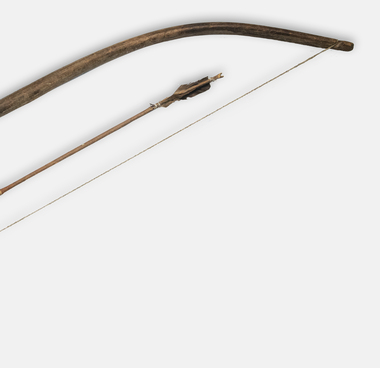 Bow and arrows
