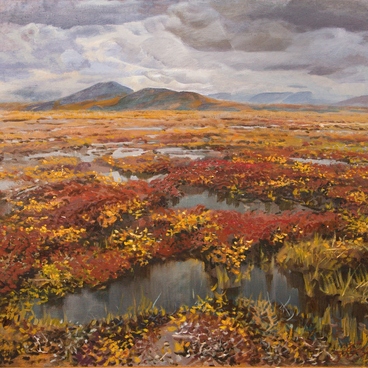 Краски осенней тундры