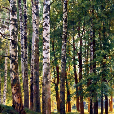 Birch Tree Forest