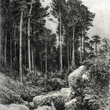 Ai-Petri Landscape