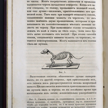 Книга для экскурсий