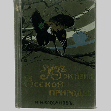 Из жизни русской природы