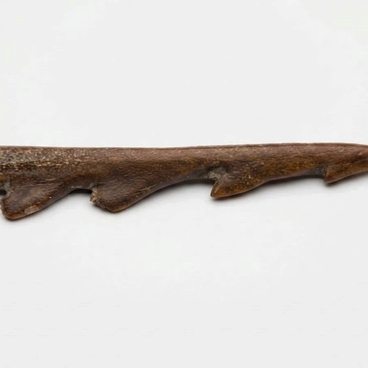 Наконечник гарпуна (фрагмент)