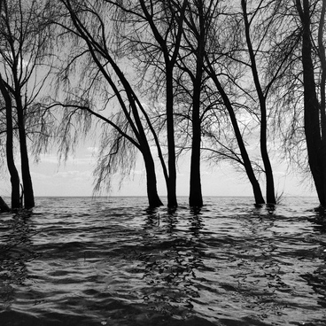 Шёпот большой воды