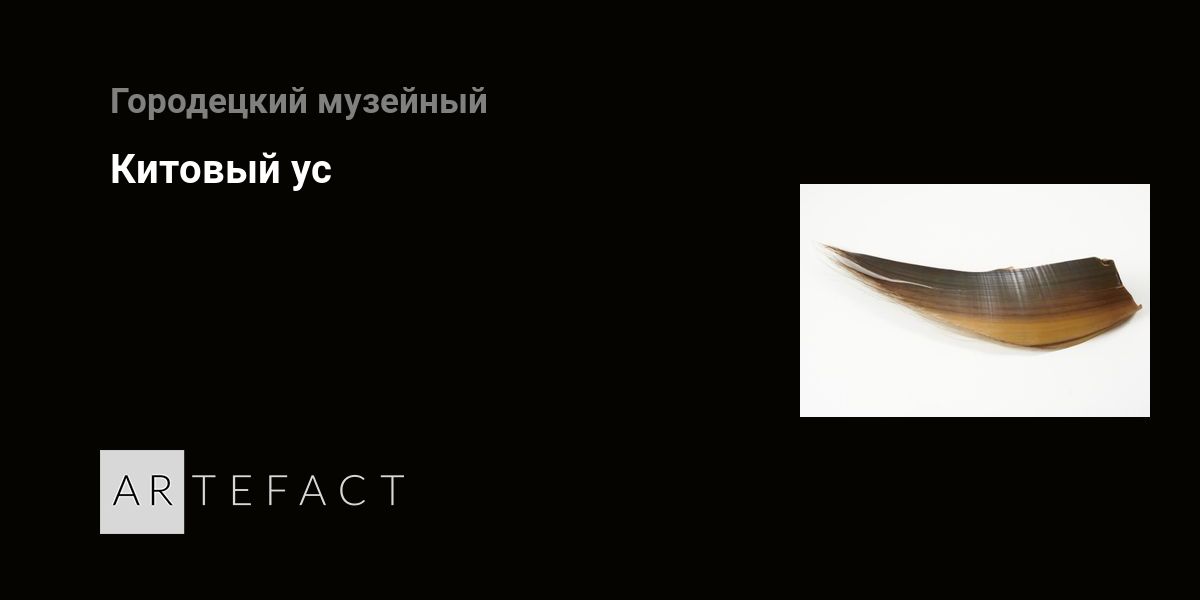 Китовый ус волга