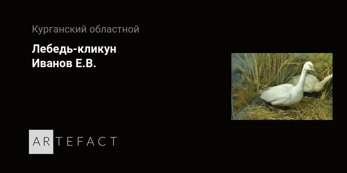 Лебедь-кликун - Иванов Е.В. Подробное описание экспоната, аудиогид, интересные факты. Официальный сайт Artefact